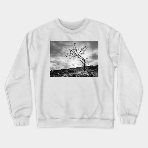 Lonely Tree Crewneck Sweatshirt by ansaharju